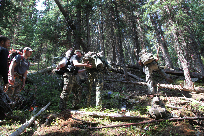 Teamwork in the field