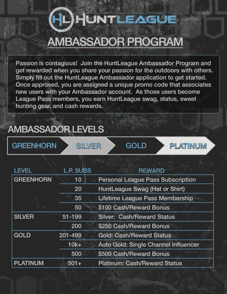 Ambassador program outline, page 1