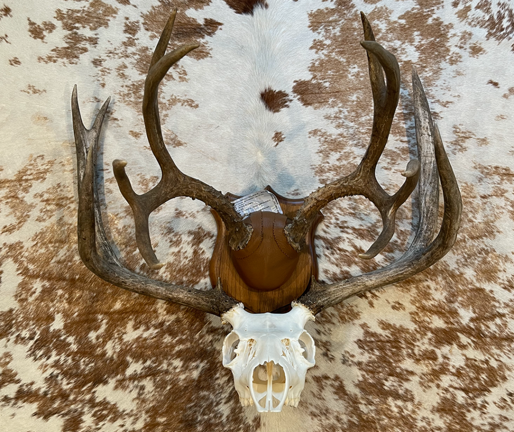 2016&ndash;2021 deer comparison