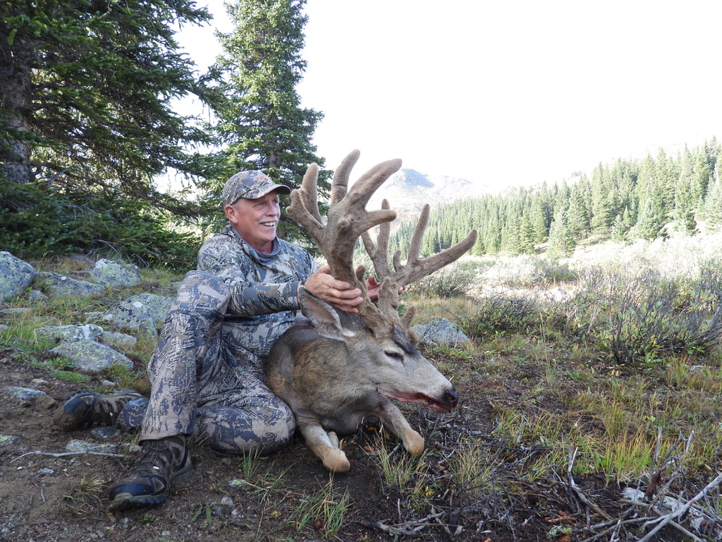 Chasing mule deer in the backcountry