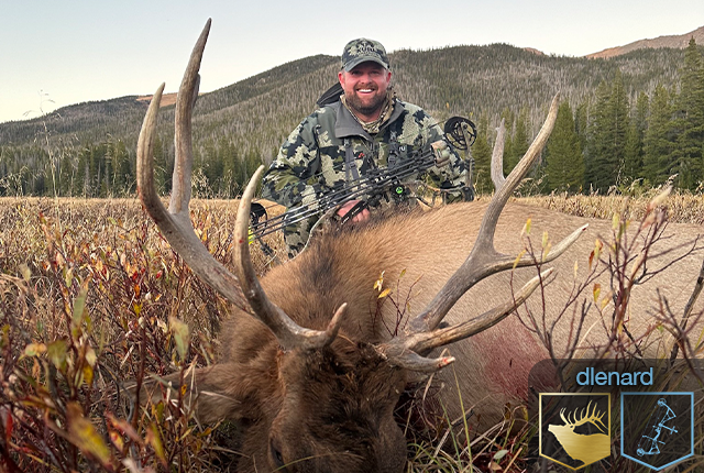 Archery elk harvest by Daniel Lenard, 2024