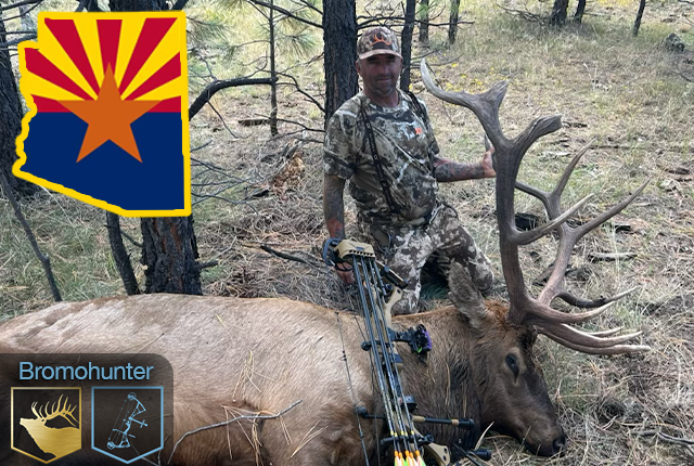 Archery elk harvest by Rich Mayes in Arizona
