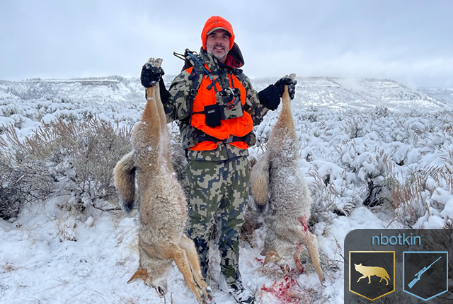 Coyote harvested by nbotkin