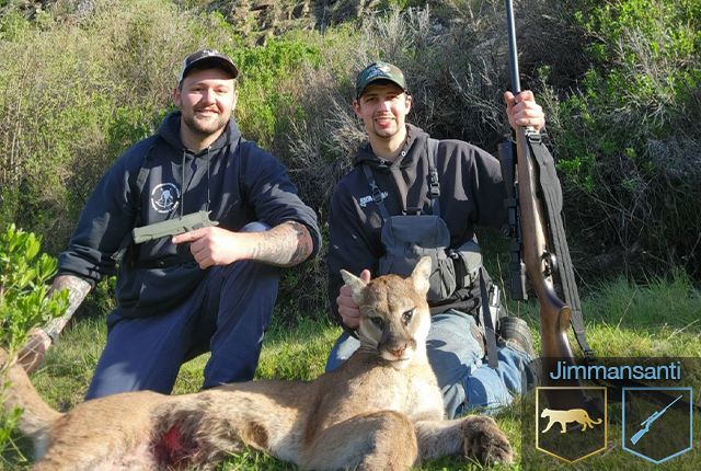 Mountain lion harvested by James Mansanti