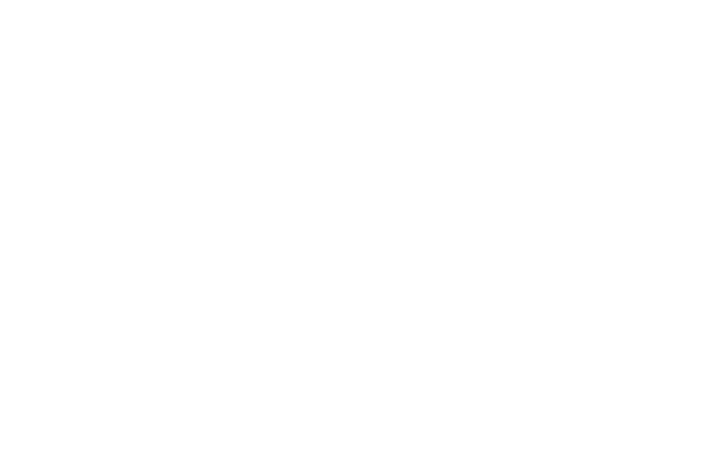 Seekins Precision